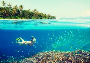 assistant-snorkling-in-barbados