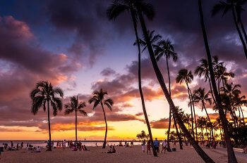 Hawaii VIP Concierge Service