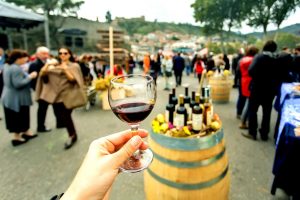 Autumn in Germany - Wine Festivles - AssistAnt Luxury Travel