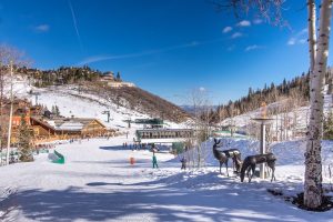 Beginners Ski Resorts