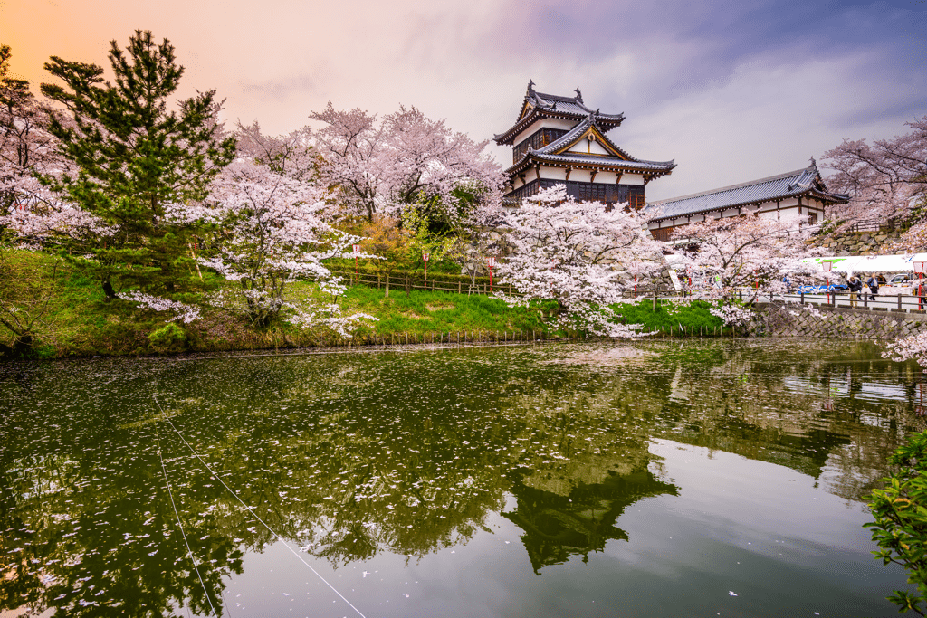 Nara Park Japan tourist sights