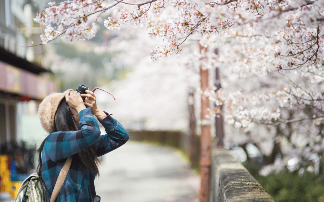 Sightseeing in Japan