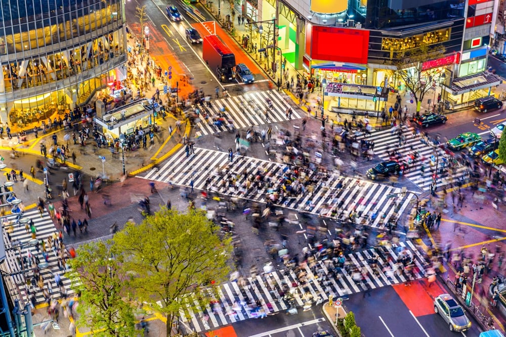 Kabukicho Tokyo- AssistAnt