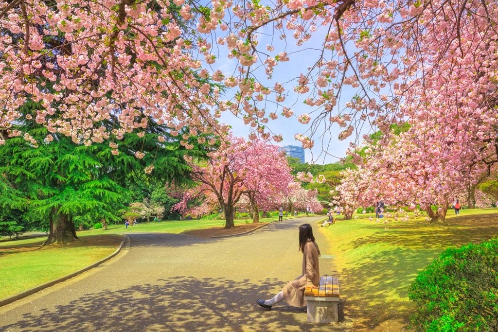 Shinjuku Gyoen Garden Tokyo - AssistAnt