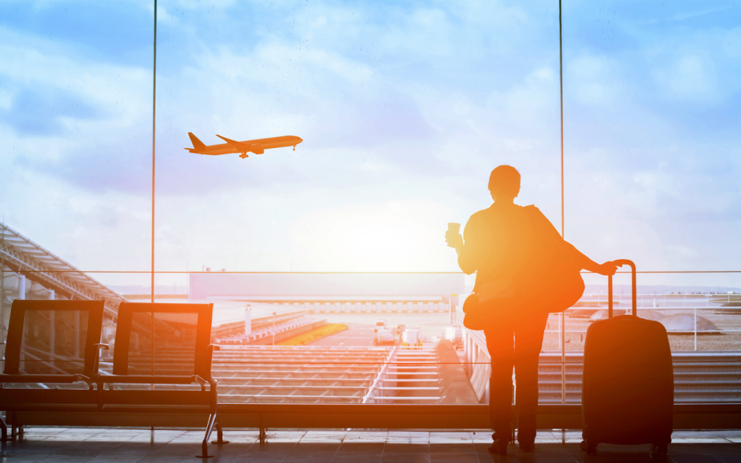 Meet and Greet Airport Service - AssistAnt