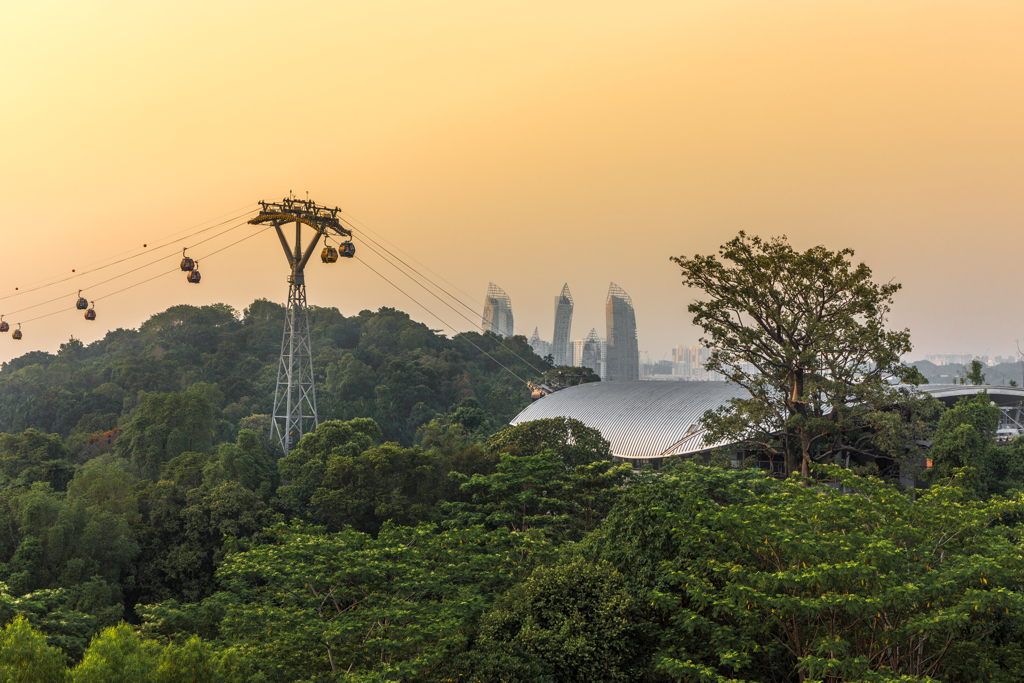 Cablecar Singapore Transportation - AssistAnt Travel