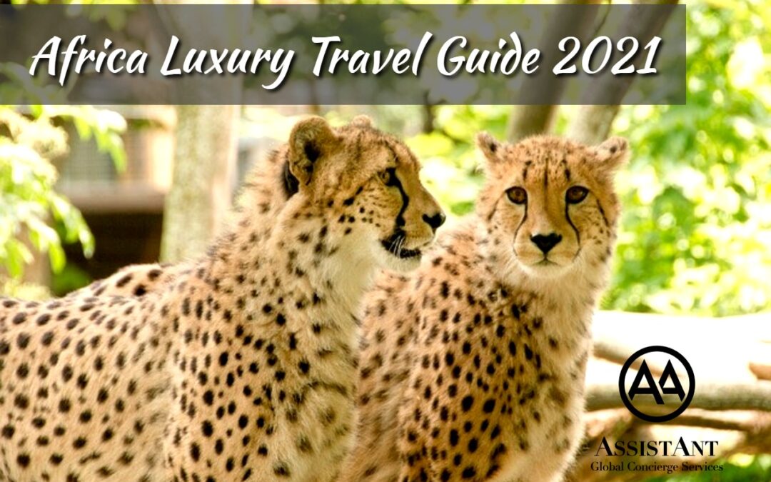 Africa Luxury Travel Guide 2021 - AssitAnt