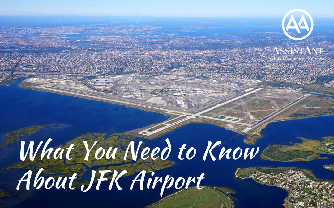 What You Need to Know About JFK Airport Guide